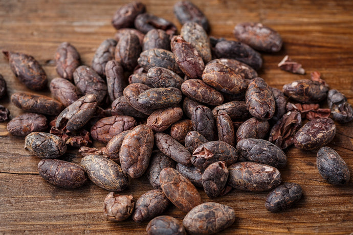 Kakaopulver - alles was du wissen musst