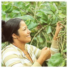 Lade das Bild in den Galerie-Viewer, Lächelnde Plantagenarbeiterin am Kaffeebohnen überprüfen
